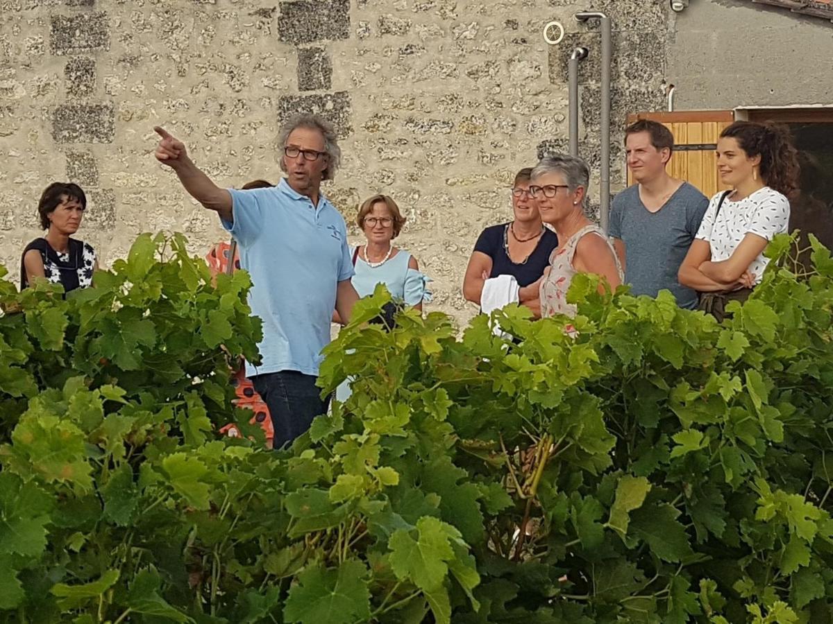 Le Coeur Des Vignes Hotel Pauillac Eksteriør billede